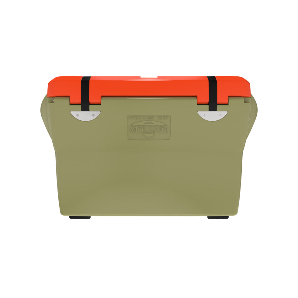 M50_Daybreak_Back.jpg?v=