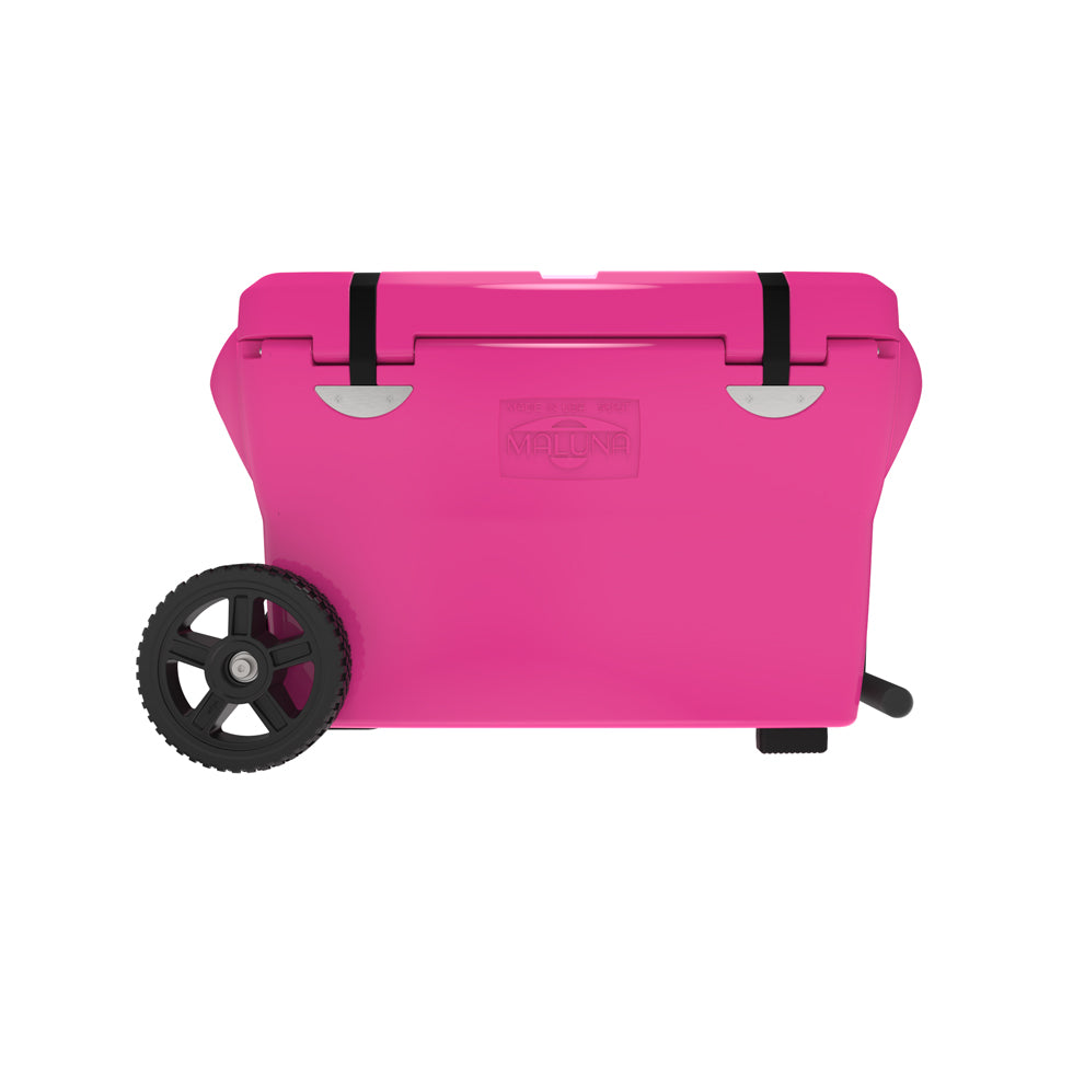 M50_WK_HotPink_Back.jpg?v=