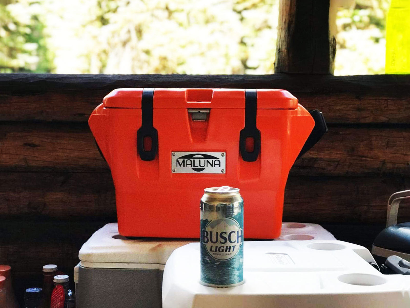 Busch deals grizzly cooler